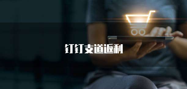钉钉支道返利