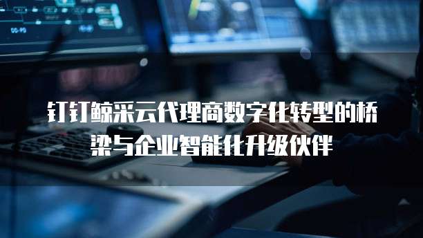 钉钉鲸采云代理商数字化转型的桥梁与企业智能化升级伙伴 