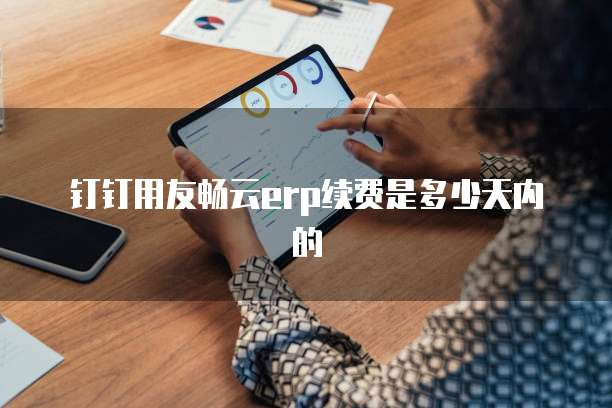 钉钉用友畅云erp续费是多少天内的