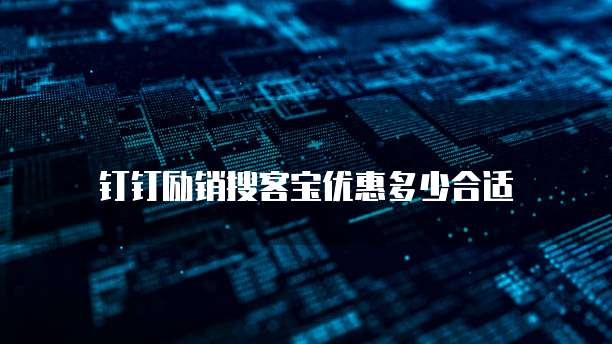 钉钉励销搜客宝优惠多少合适