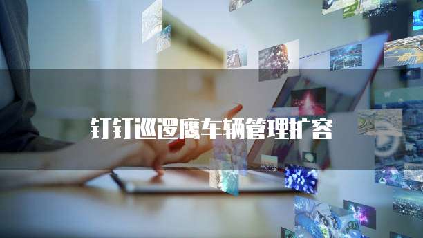 钉钉巡逻鹰车辆管理扩容