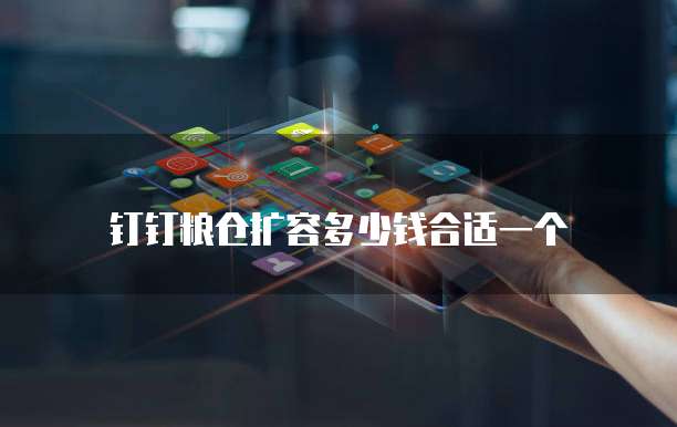 钉钉粮仓扩容多少钱合适一个