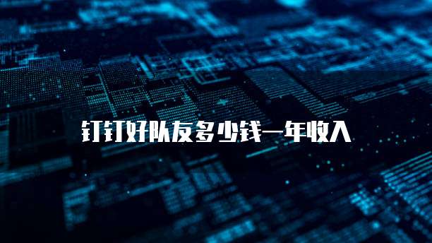 钉钉好队友多少钱一年收入