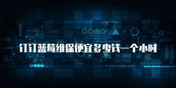 钉钉蓝莓维保便宜多少钱一个小时