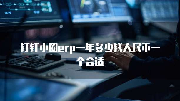 钉钉小圈erp一年多少钱人民币一个合适