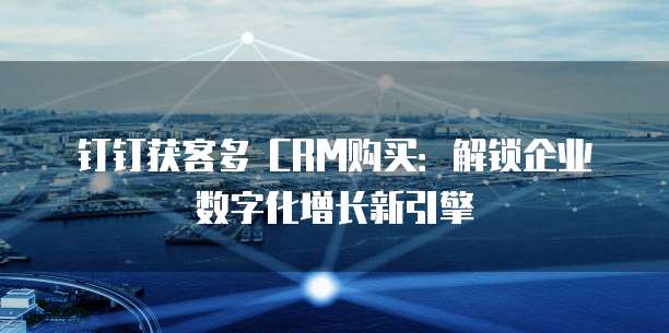 钉钉获客多 CRM购买:解锁企业数字化增长新引擎