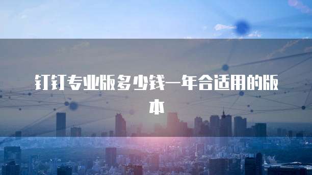钉钉专业版多少钱一年合适用的版本