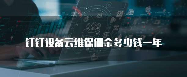 钉钉设备云维保佣金多少钱一年