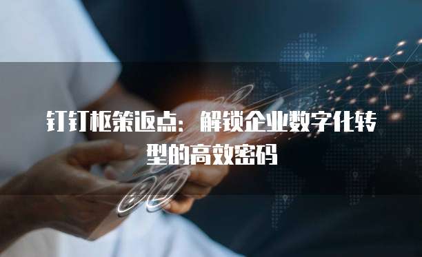 钉钉枢策返点:解锁企业数字化转型的高效密码