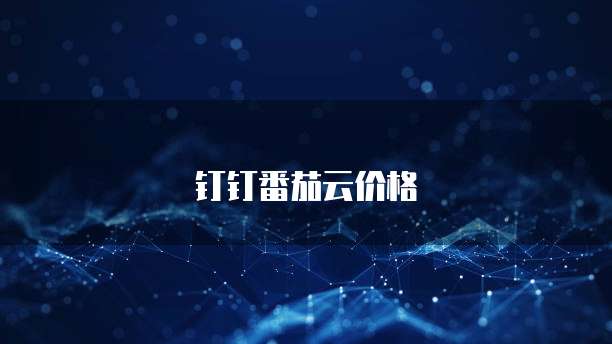钉钉番茄云价格