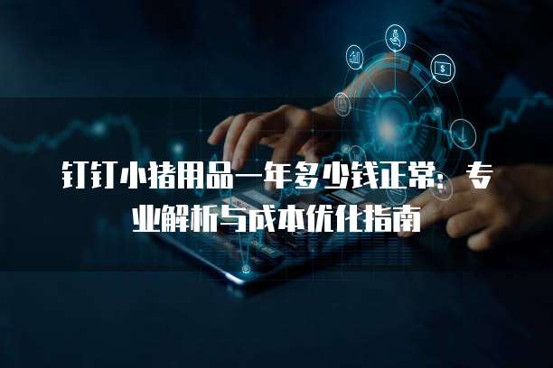 钉钉小猪用品一年多少钱正常：专业解析与成本优化指南