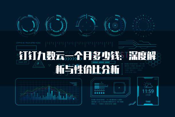 钉钉九数云一个月多少钱:深度解析与性价比分析