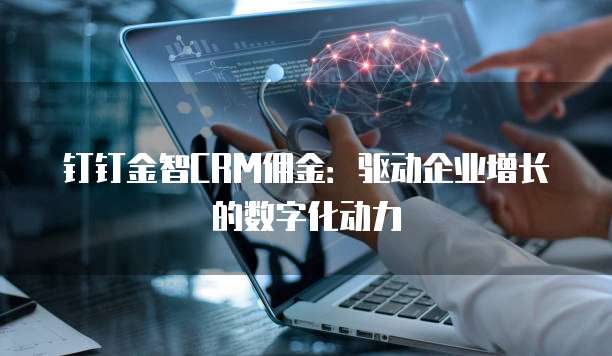 钉钉金智CRM佣金：驱动企业增长的数字化动力