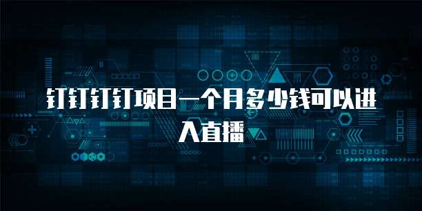 钉钉钉钉项目一个月多少钱可以进入直播