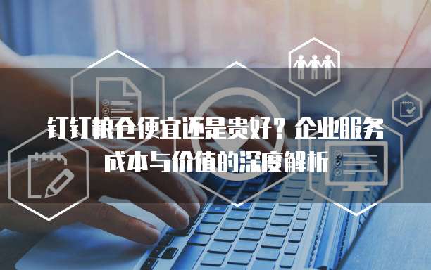 钉钉粮仓便宜还是贵好？企业服务成本与价值的深度解析
