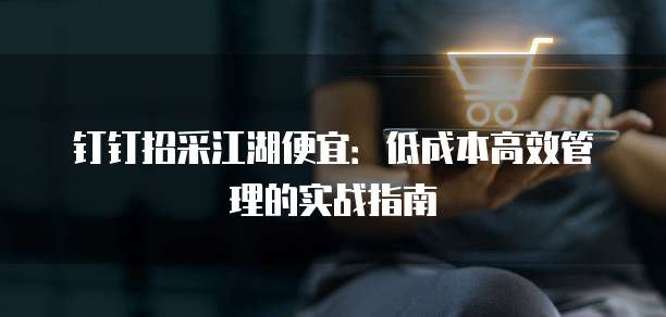钉钉招采江湖便宜：低成本高效管理的实战指南