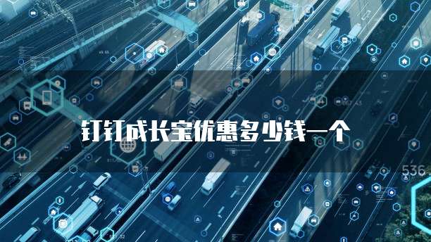钉钉成长宝优惠多少钱一个