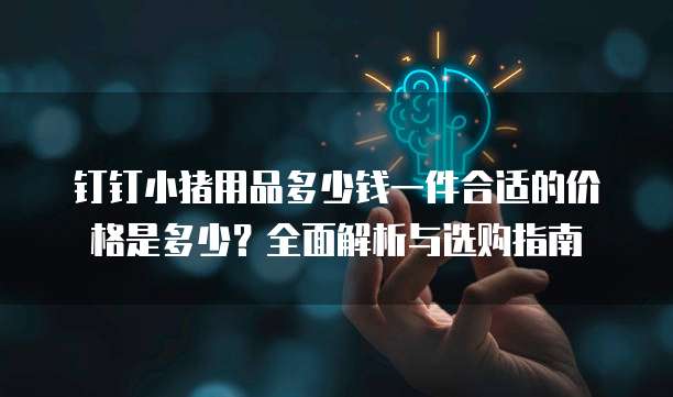 钉钉小猪用品多少钱一件合适的价格是多少?全面解析与选购指南