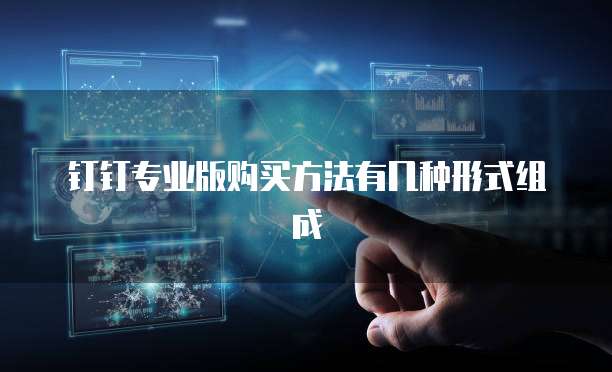 钉钉专业版购买方法有几种形式组成