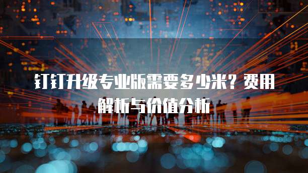 钉钉升级专业版需要多少米？费用解析与价值分析