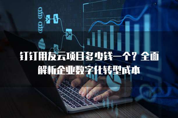 钉钉用友云项目多少钱一个?全面解析企业数字化转型成本