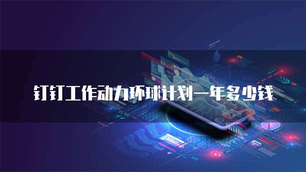 钉钉工作动力环球计划一年多少钱