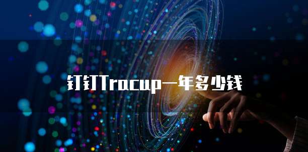 钉钉Tracup一年多少钱