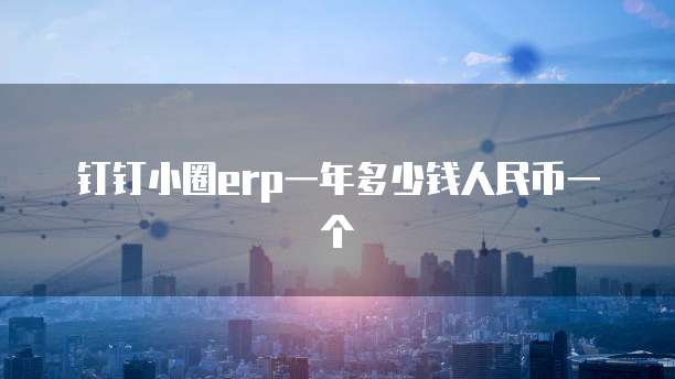 钉钉小圈erp一年多少钱人民币一个