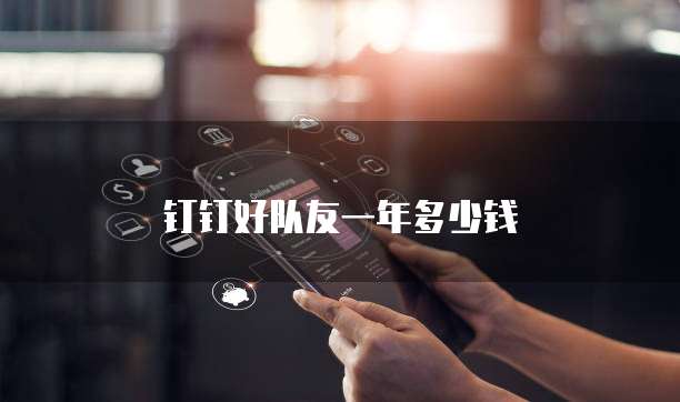 钉钉好队友一年多少钱