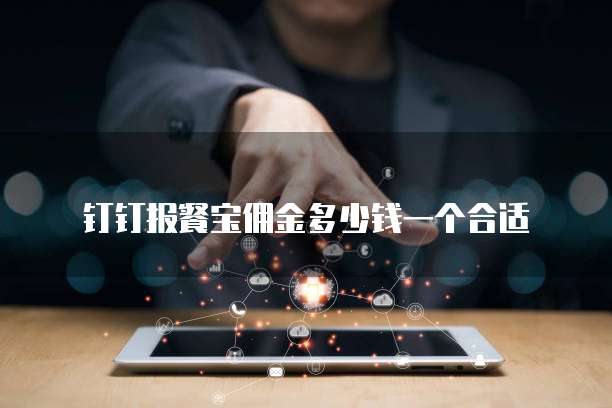 钉钉报餐宝佣金多少钱一个合适