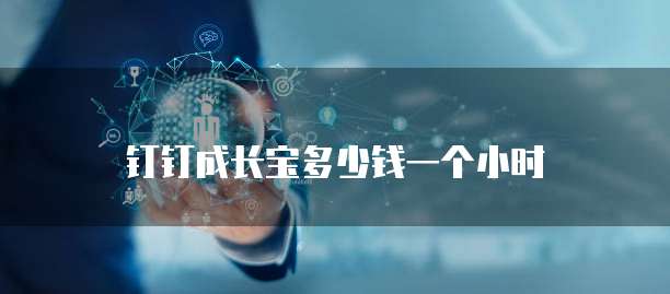 钉钉成长宝多少钱一个小时