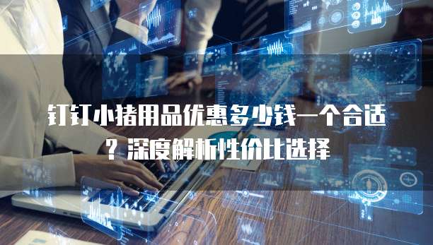 钉钉小猪用品优惠多少钱一个合适？深度解析性价比选择