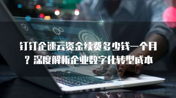 钉钉企速云资金续费多少钱一个月?深度解析企业数字化转型成本