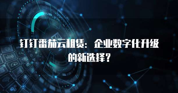 钉钉番茄云租赁：企业数字化升级的新选择？