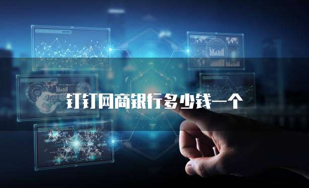 钉钉网商银行多少钱一个