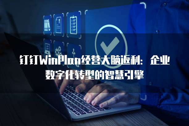 钉钉WinPlan经营大脑返利:企业数字化转型的智慧引擎