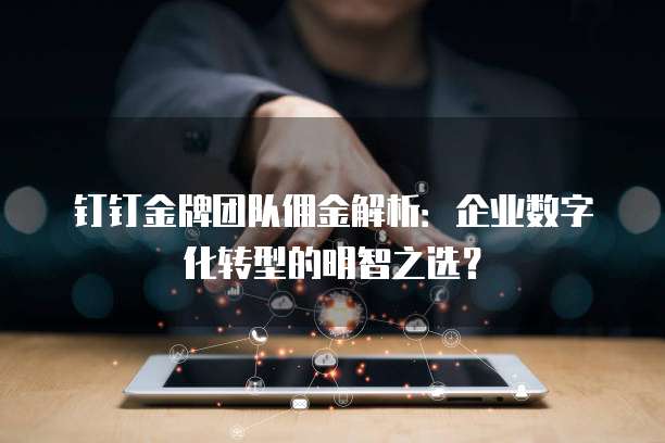 钉钉金牌团队佣金解析：企业数字化转型的明智之选？
