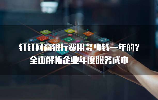 钉钉网商银行费用多少钱一年的?全面解析企业年度服务成本