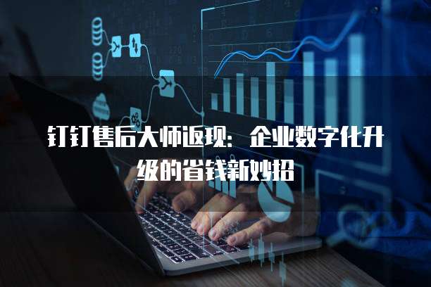 钉钉售后大师返现:企业数字化升级的省钱新妙招
