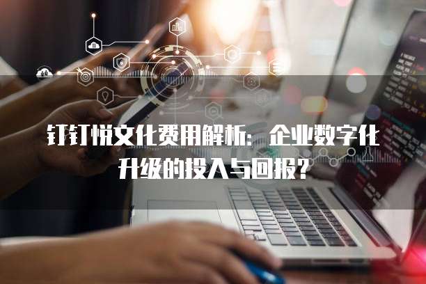钉钉悦文化费用解析：企业数字化升级的投入与回报？