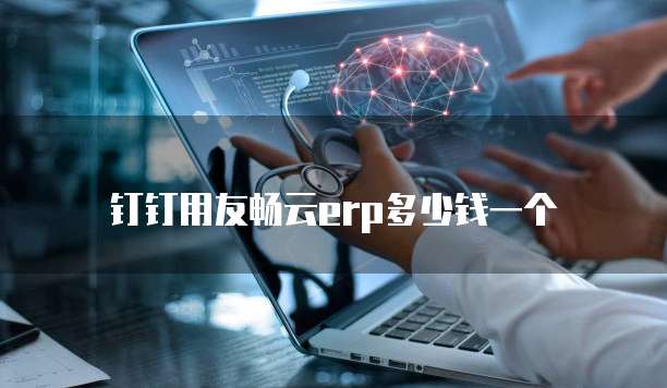 钉钉用友畅云erp多少钱一个