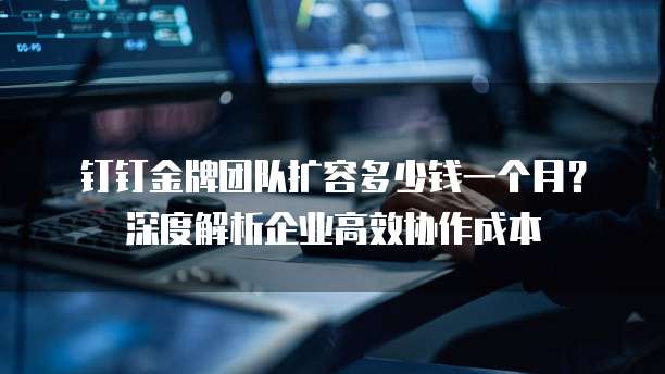 钉钉金牌团队扩容多少钱一个月?深度解析企业高效协作成本