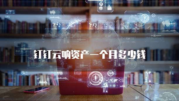 钉钉云呐资产一个月多少钱