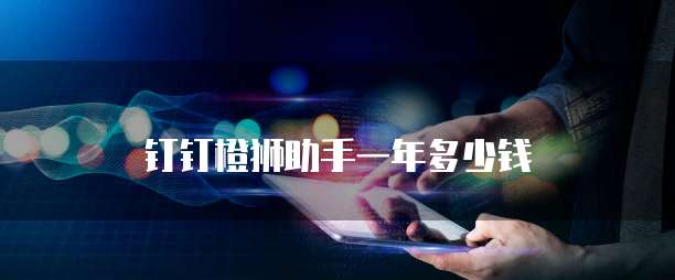 钉钉橙狮助手一年多少钱