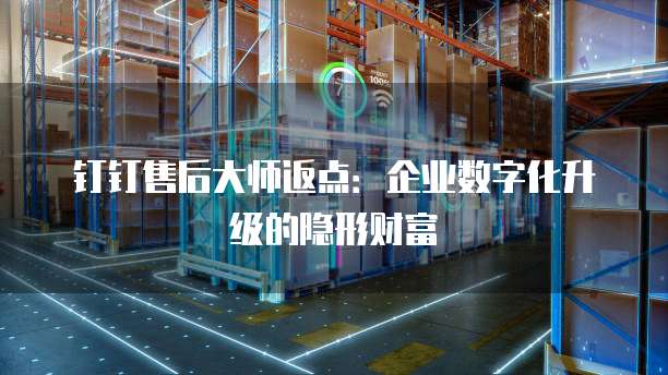 钉钉售后大师返点：企业数字化升级的隐形财富
