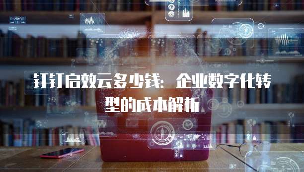 钉钉启效云多少钱:企业数字化转型的成本解析