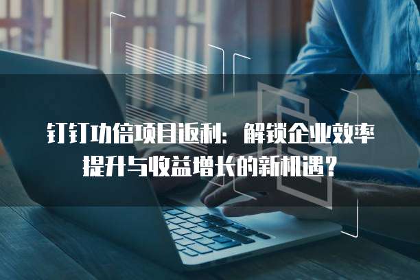 钉钉功倍项目返利：解锁企业效率提升与收益增长的新机遇？