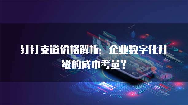 钉钉支道价格解析:企业数字化升级的成本考量?