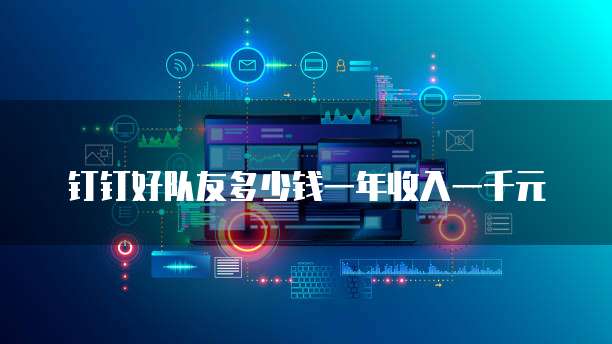 钉钉好队友多少钱一年收入一千元