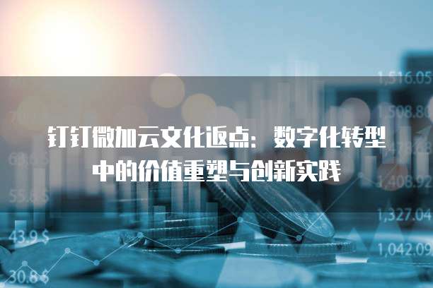 钉钉微加云文化返点:数字化转型中的价值重塑与创新实践